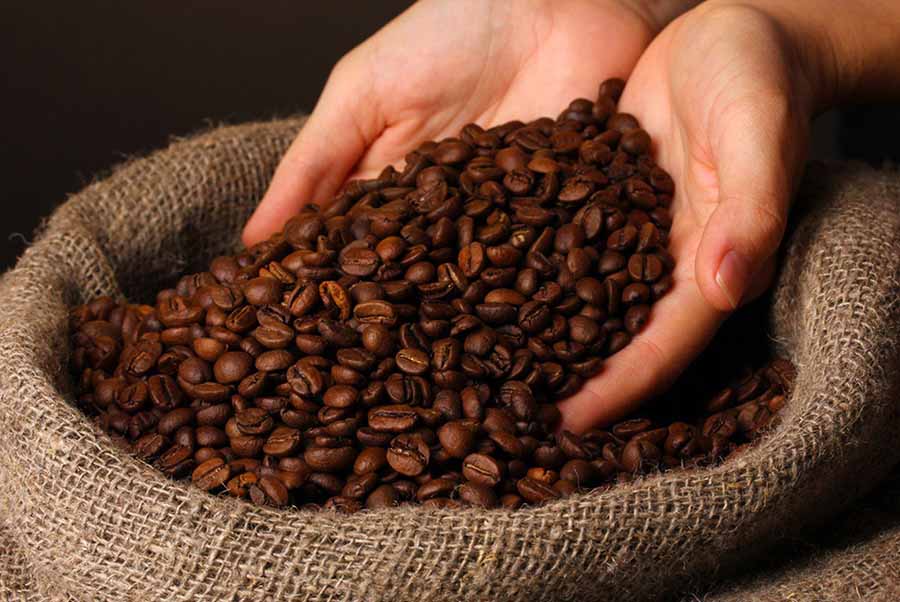 Cà phê Robusta có thật sự kém chất lượng hơn Arabica không?