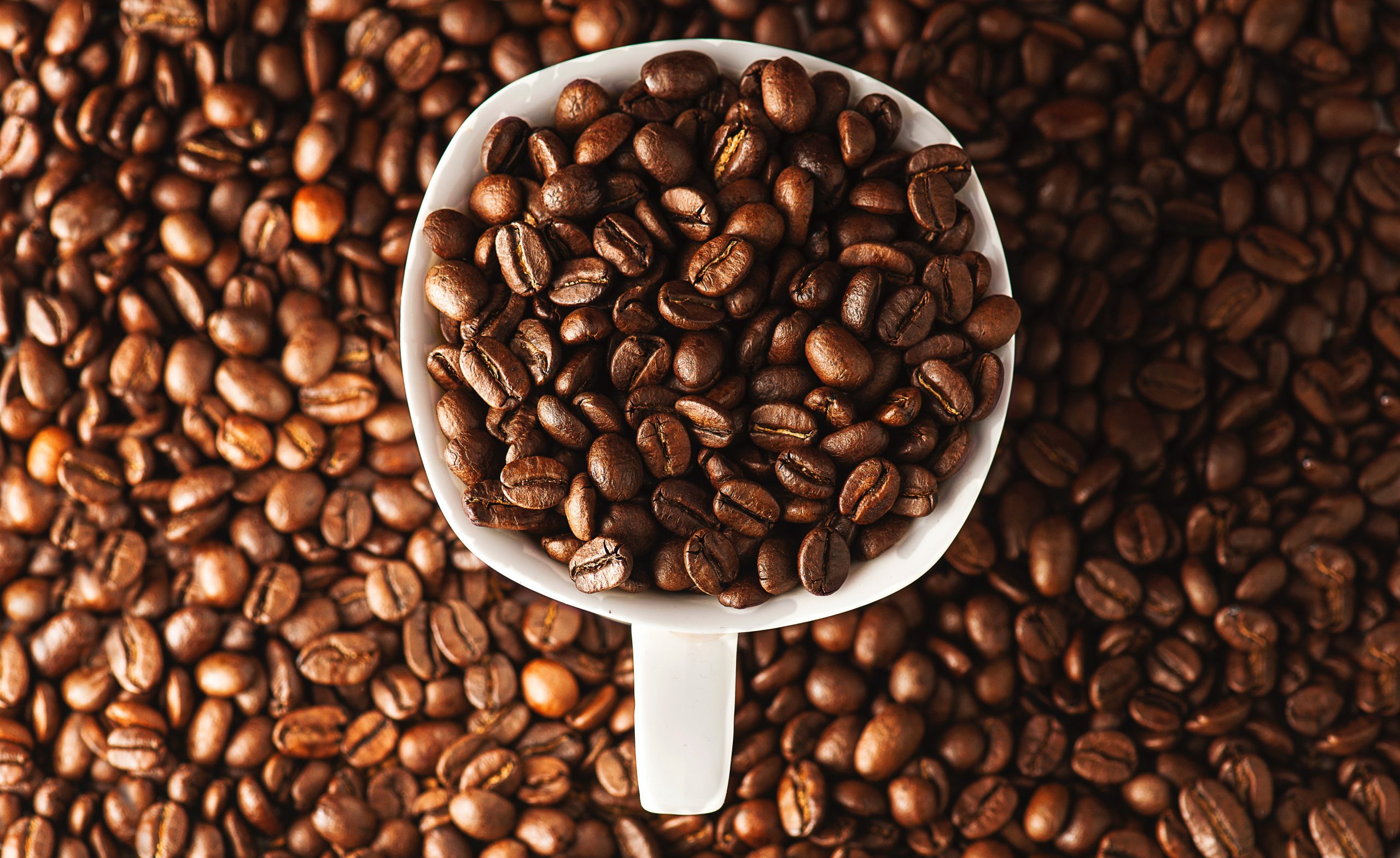 Cà phê Robusta là gì ?