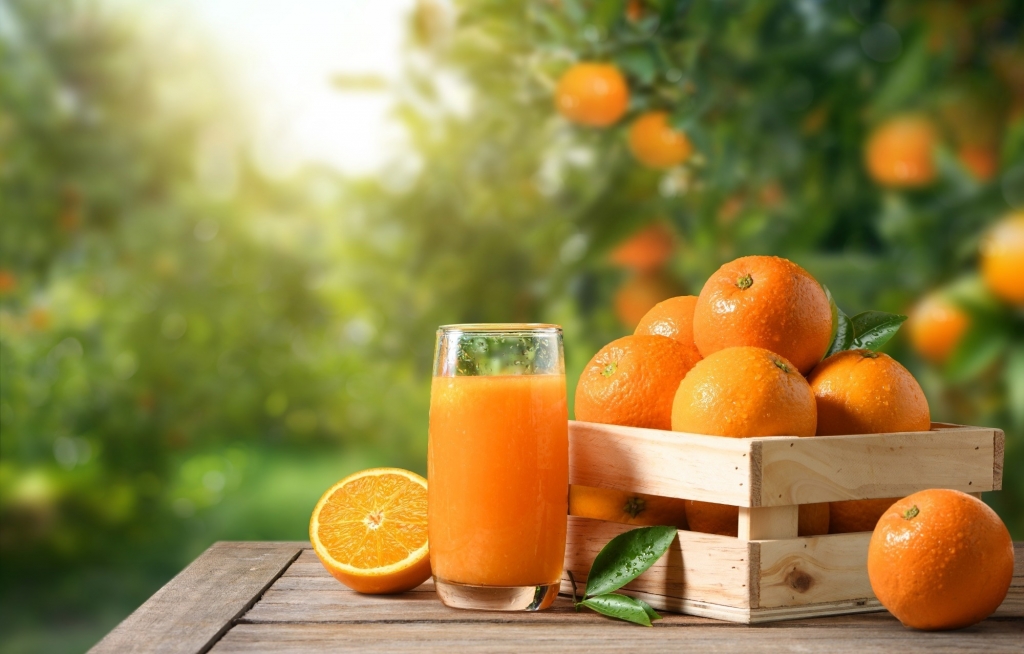 Cách làm nước cam tươi mát giải nhiệt mùa hè cực đơn giản tại nhà