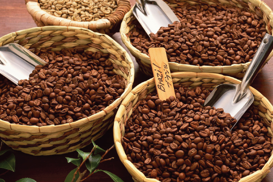 Cập nhật với hơn 53 về hình hạt cafe mới nhất  Du học Akina