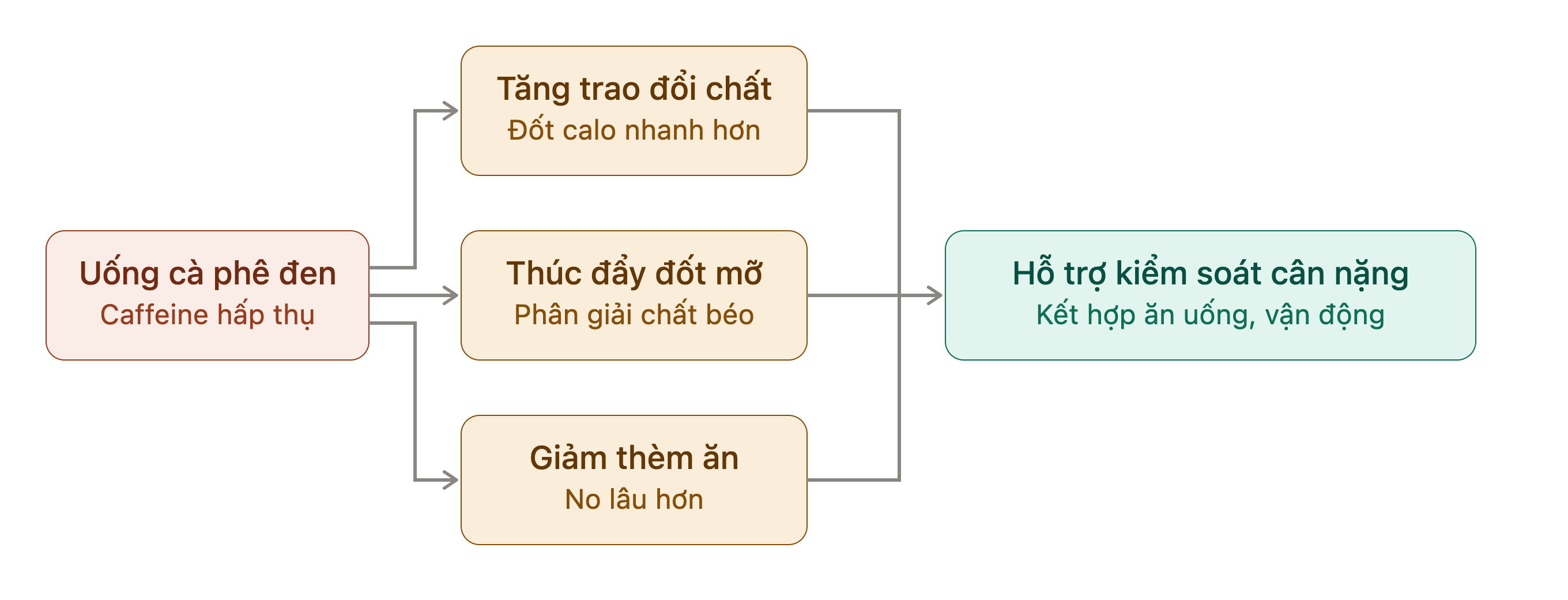 Uống cà phê có đen giảm cân không? Góc nhìn khoa học