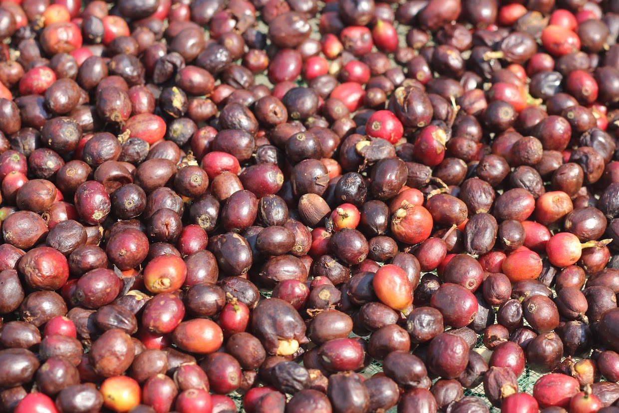 Cafe cherry
