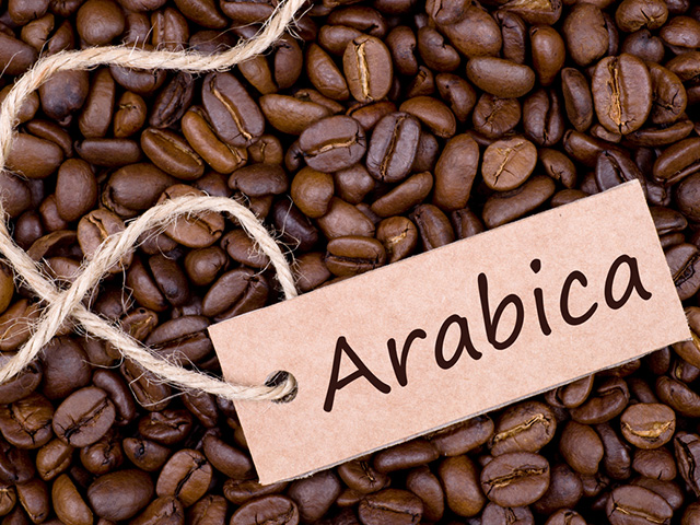 Đặc điểm nổi bật của cà phê Arabica so với các loại khác