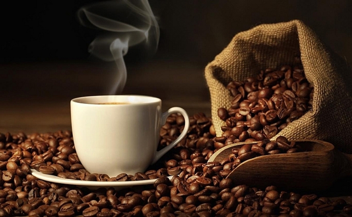 Đặc điểm nổi bật của cà phê Arabica so với các loại khác