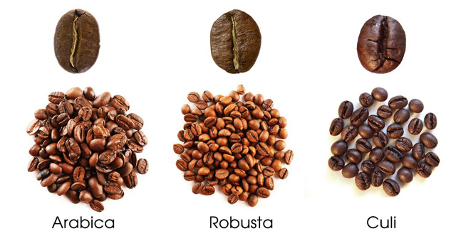 Cafe rang mộc là gì? Cách nhận biết cafe rang mộc