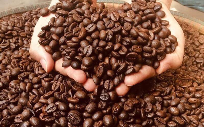 Mùi hương và hương vị của cà phê Robusta