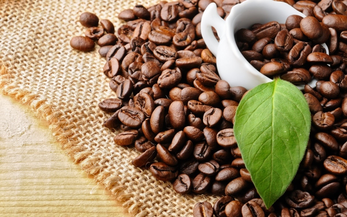 Những điều cần biết về cà phê Arabica tại Việt nam