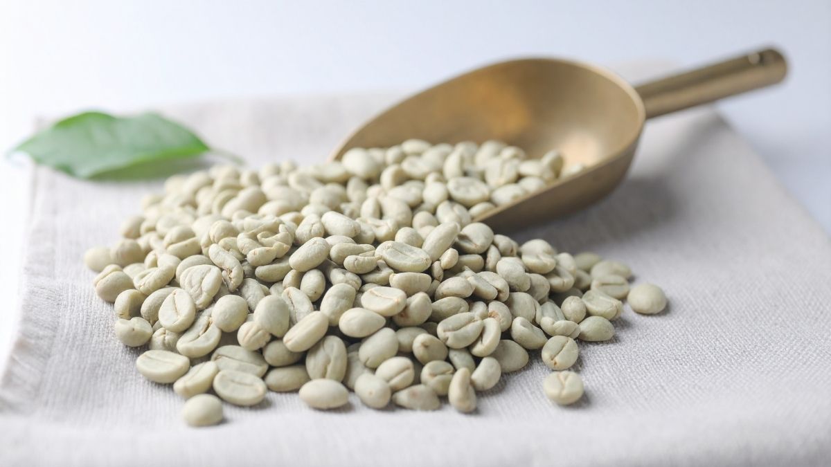 Cà phê nhân xanh Robusta là gì?