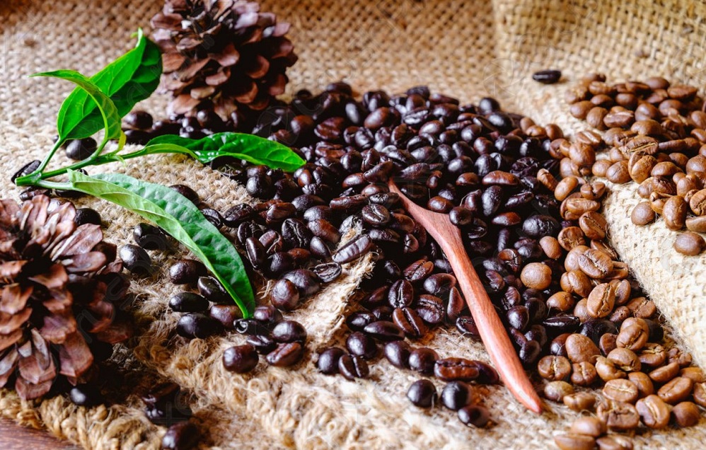 Tại sao cà phê hữu cơ tốt cho sức khỏe hơn các loại khác?