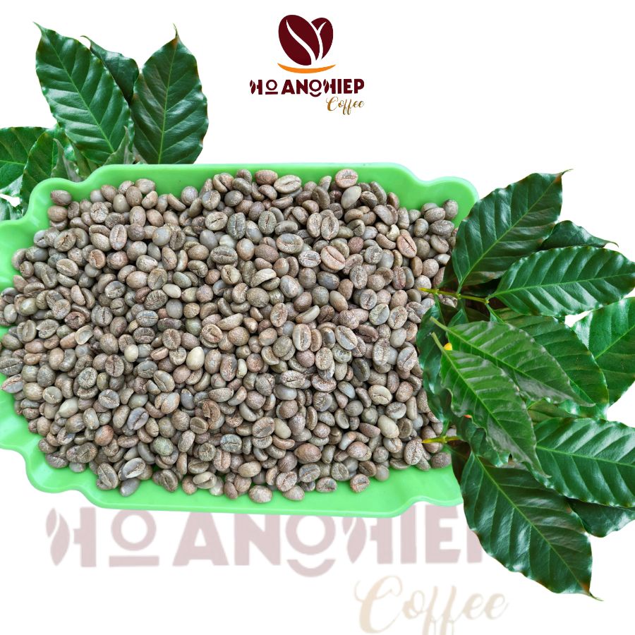 ca-phe-nhan-robusta