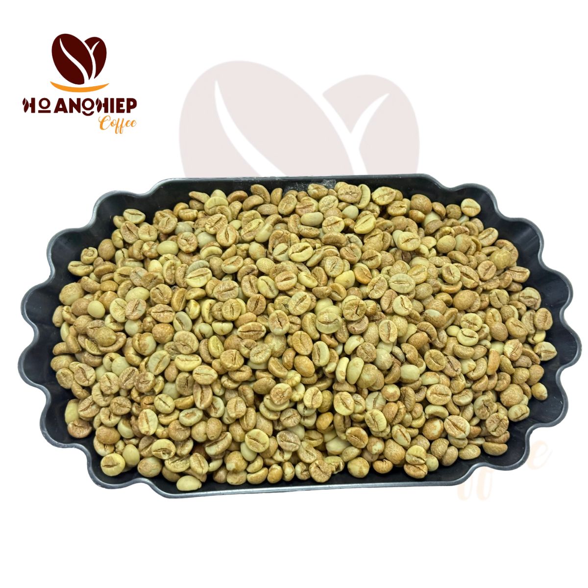 ca-phe-nhan-xanh-robusta-fine-ro-anaerobic