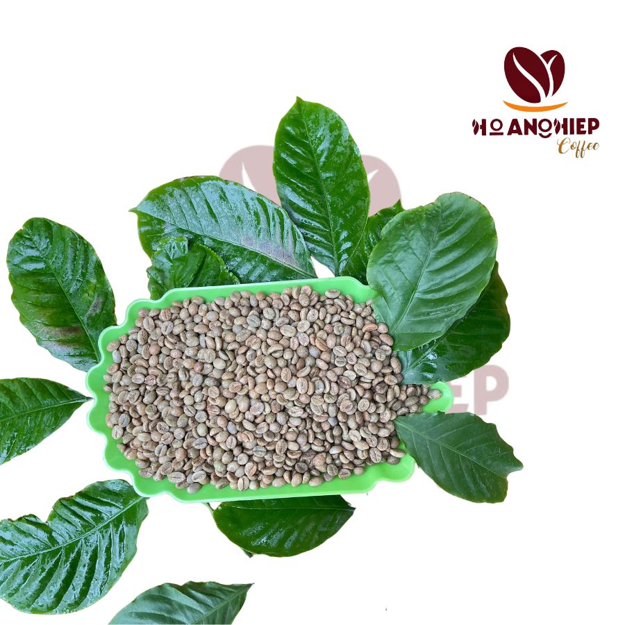 ca-phe-nhan-robusta-honey