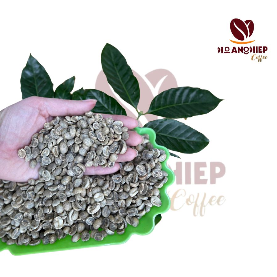 ca-phe-nhan-arabica-cau-dat-green-beans-moka