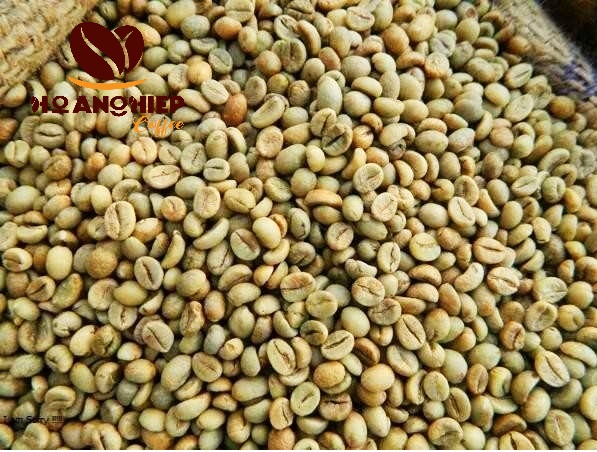 ca-phe-nhan-robusta