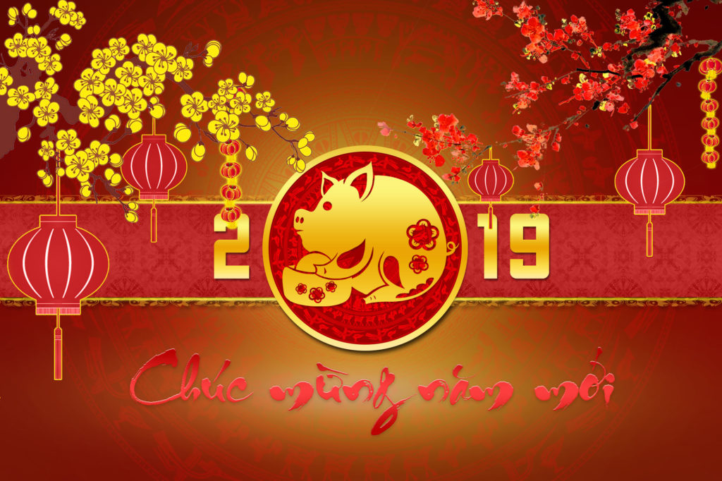 chuc-mung-nam-moi-ky-hoi-2019