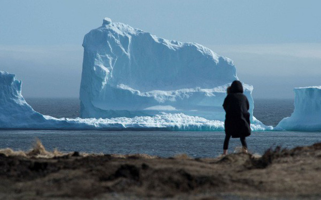 Chia sẻ của CEO khởi nghiệp 10 lần thất bại 4: Hãy là viên bi sắt, đừng là tảng băng trôi!