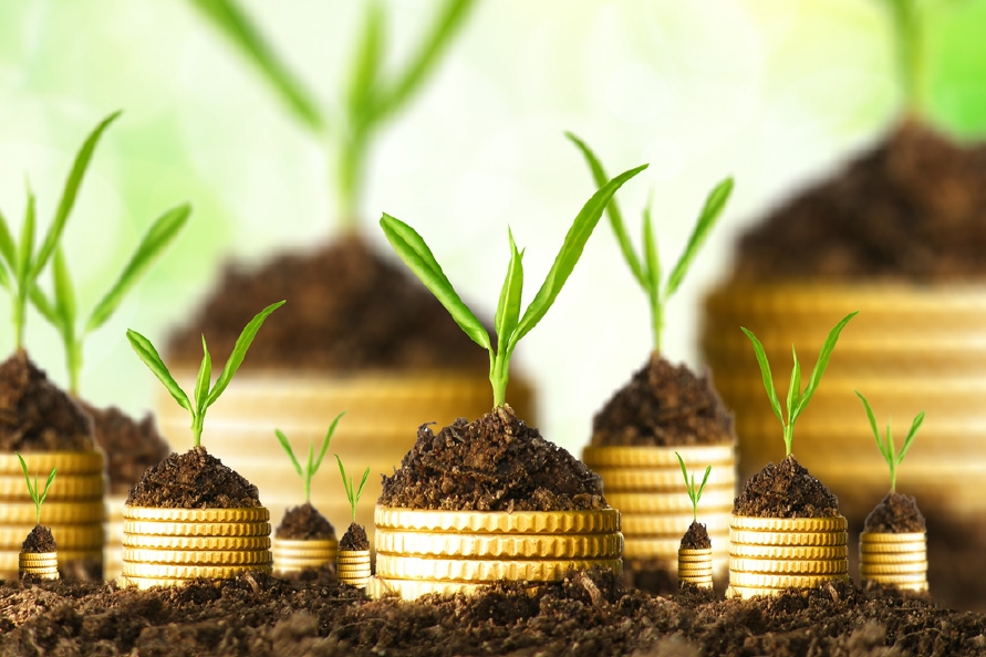 Tiền của doanh nghiệp đến từ đâu và đang đi về đâu?