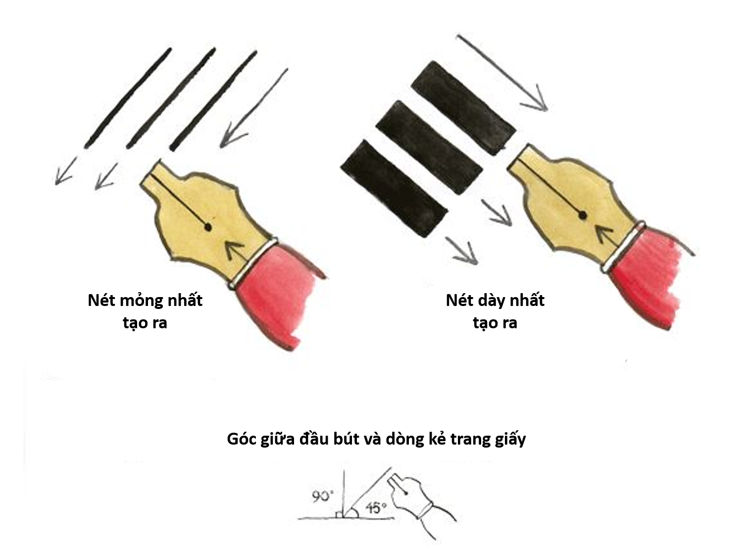 Cách viết chữ nghệ thuật Callygraphy