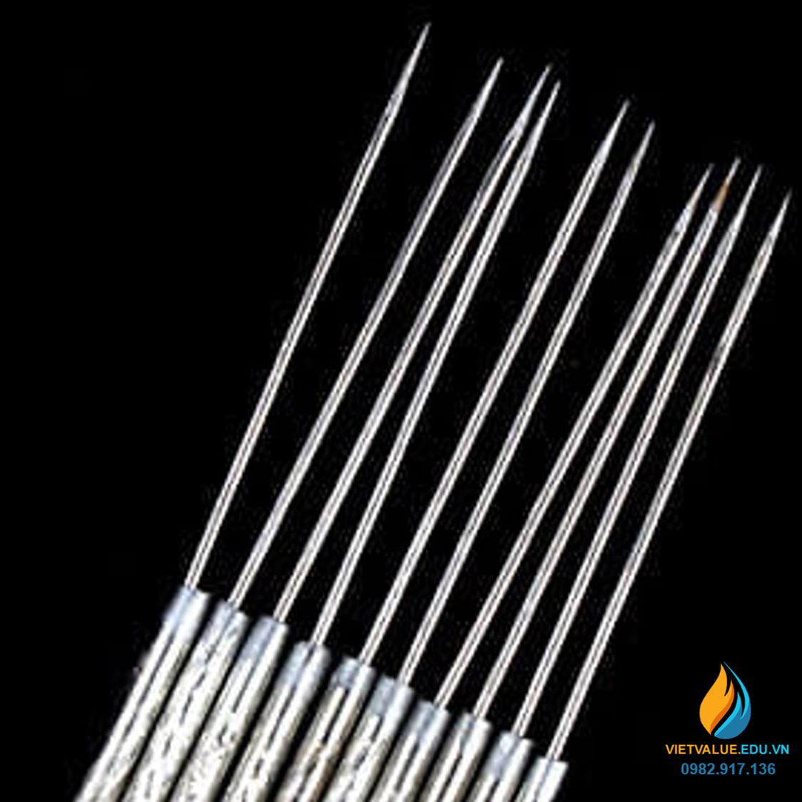 Que cấy vi sinh đầu thẳng, dài 20cm, xiên lấy mẫu đầu thẳng thí nghiệm ...