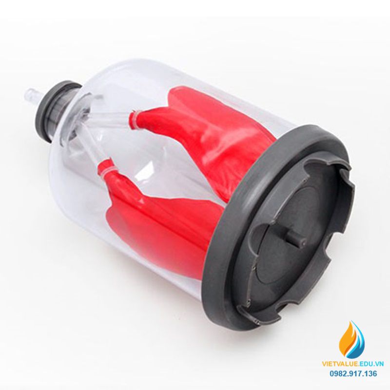 Gạt Tàn Thuốc Lá Phổi giá rẻ Tháng 82023BigGo Việt Nam