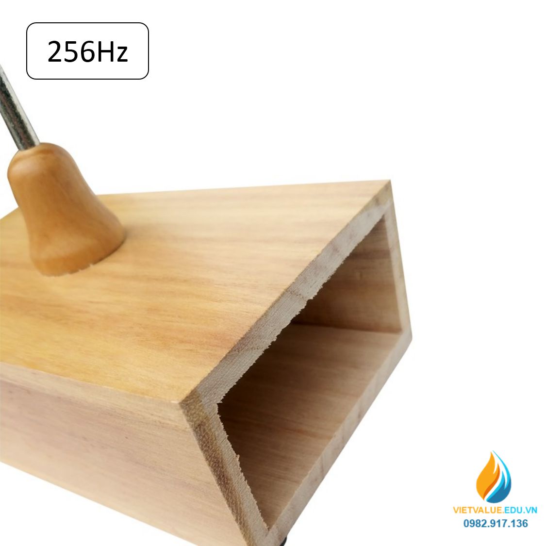 Âm thoa dao động tạo tần số 256Hz, âm thoa vật lý gồm búa cao su đi kèm ...