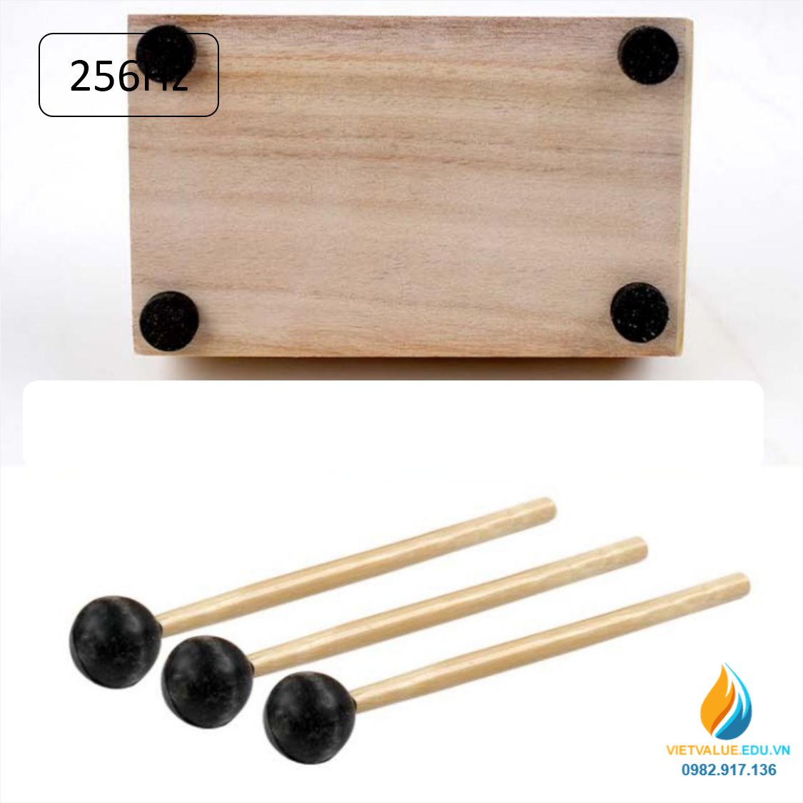 Âm thoa dao động tạo tần số 256Hz, âm thoa vật lý gồm búa cao su đi kèm ...