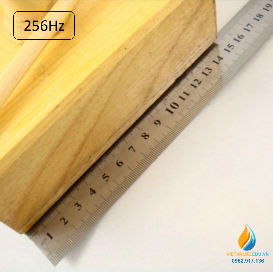 Âm thoa dao động tạo tần số 256Hz, âm thoa vật lý gồm búa cao su đi kèm ...