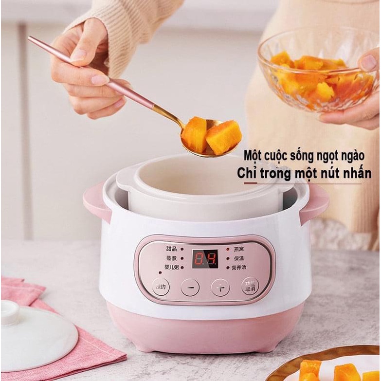 Nồi Nấu Cháo Chậm SEKA GT-68 ( 1 Lít )