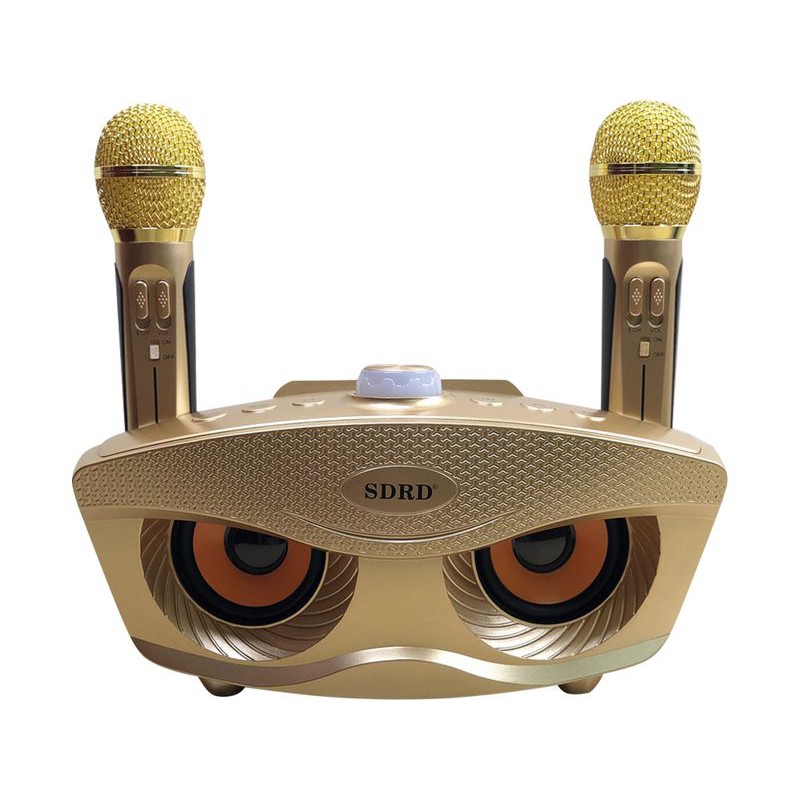 Loa Karaoke Bluetooth SDRD SD-306 Kèm Micro