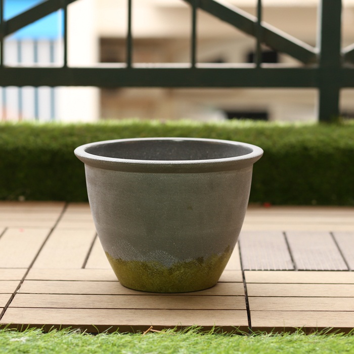 chau-nhua
