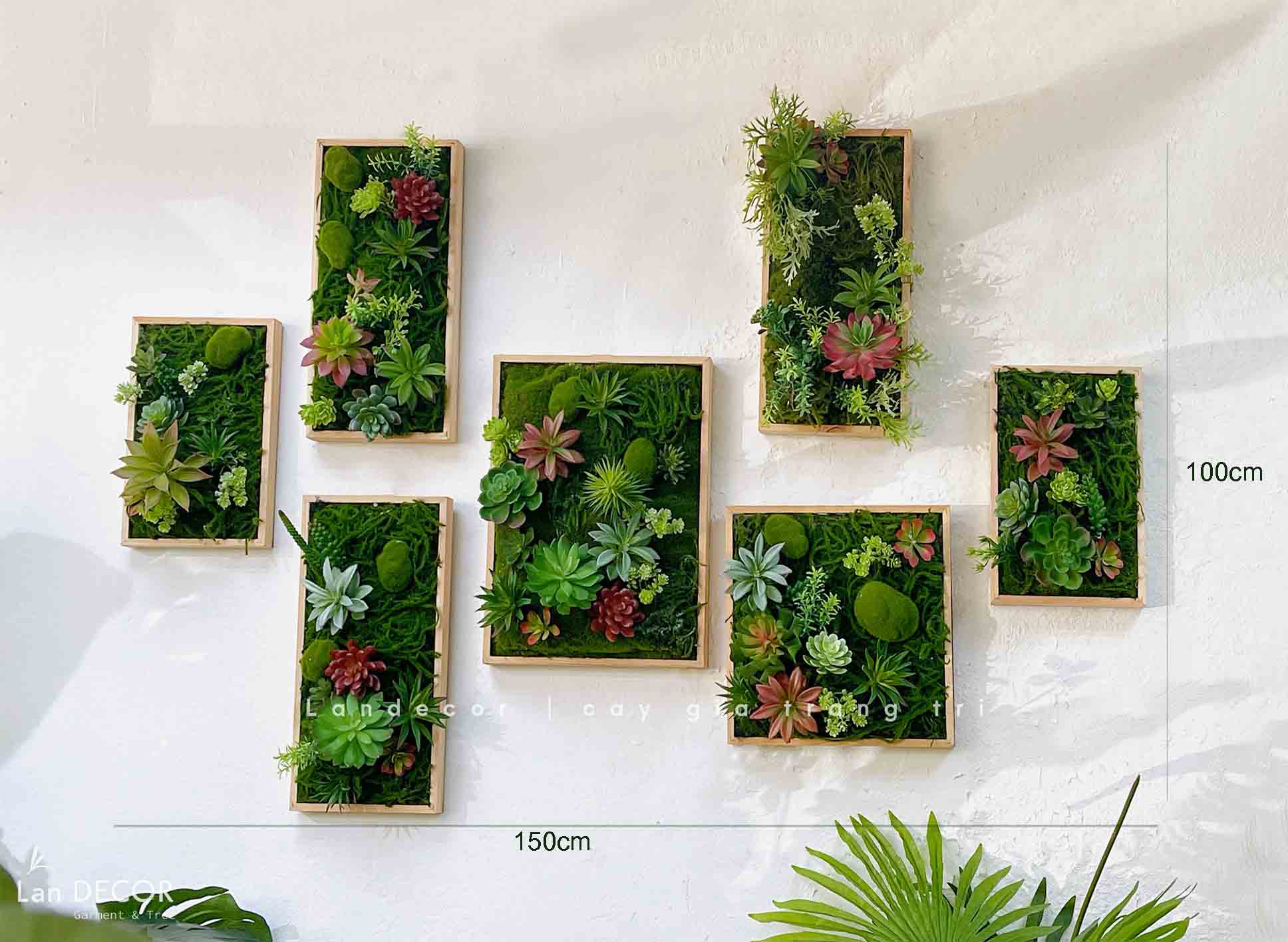 BỘ KHUNG TRANH RÊU SEN ĐÁ TREO TƯỜNG DECOR ĐỘC ĐÁO, SANG TRỌNG- BKTR01 ...