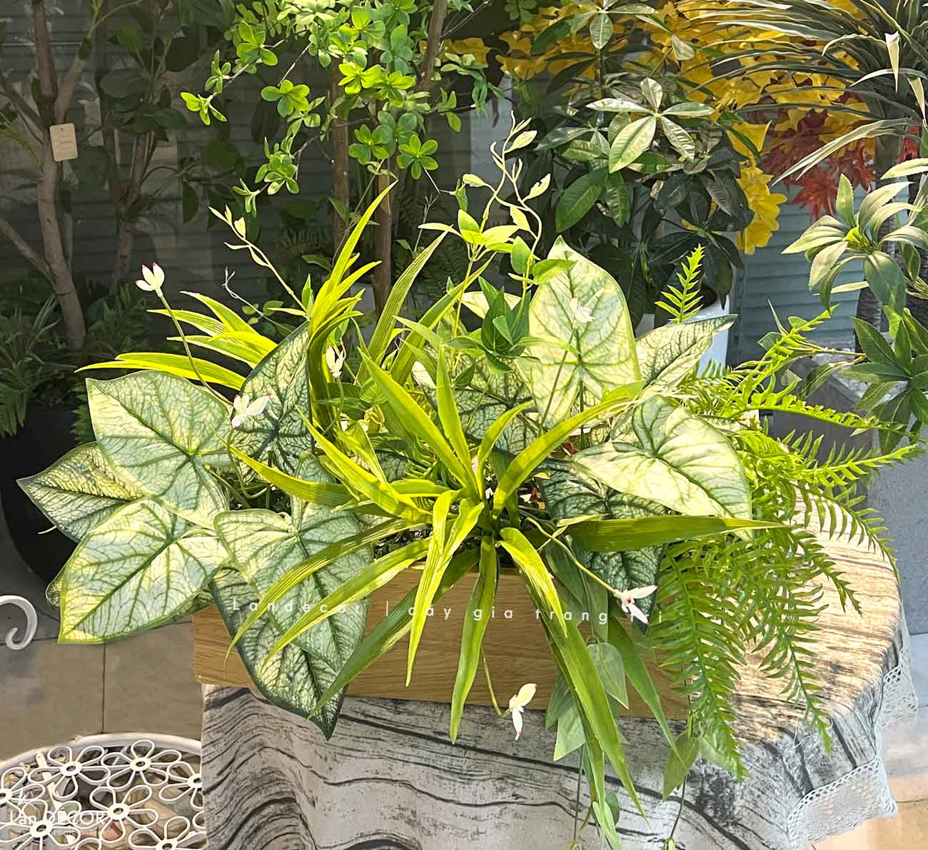 bon-cay-xanh-gia