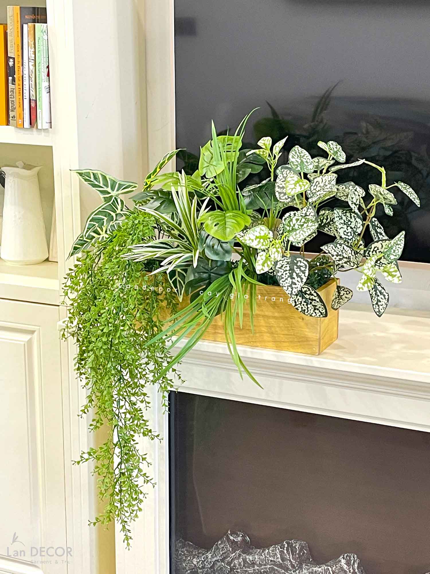 bon-cay-gia-decor