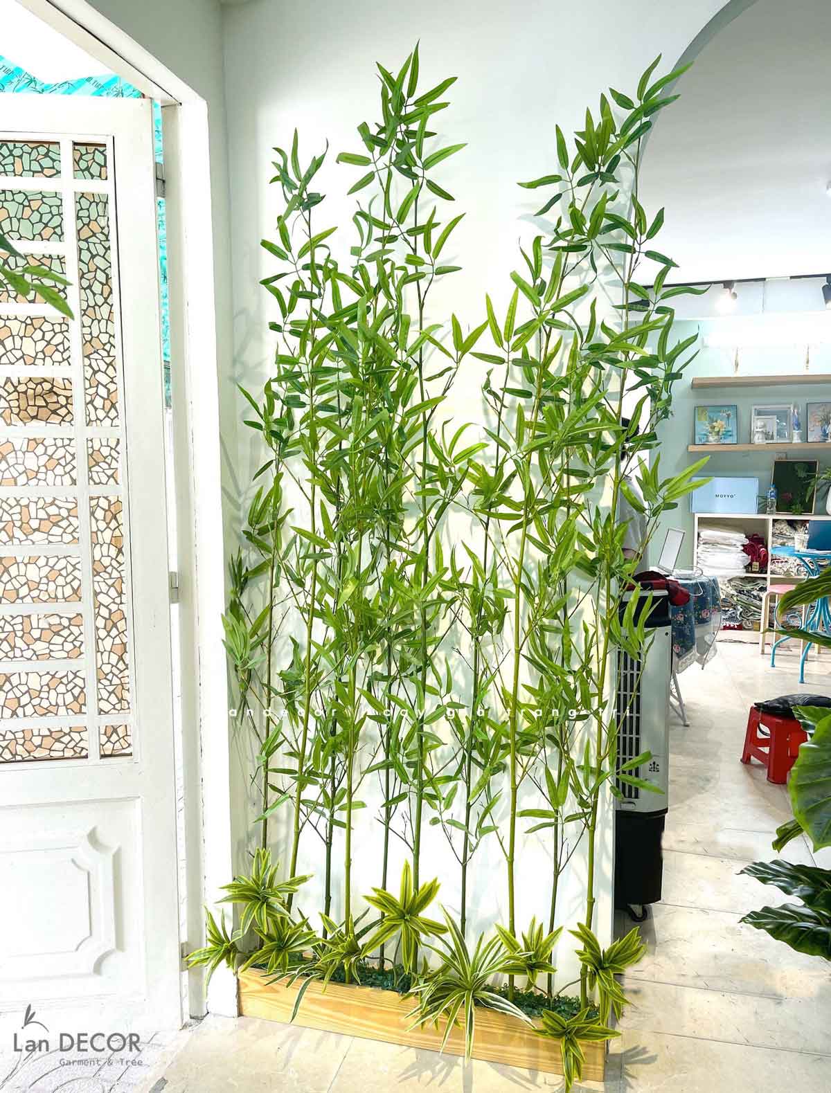 cay-gia-decor