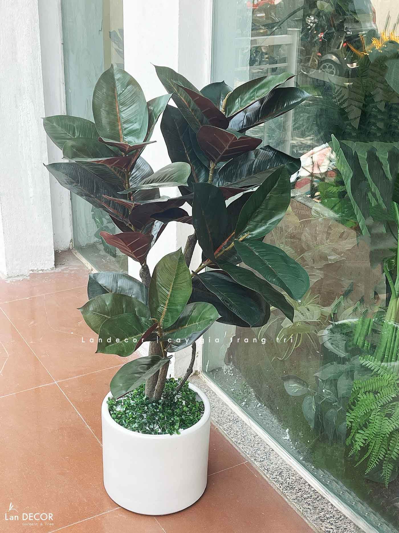 cay-bang-la-do-decor 