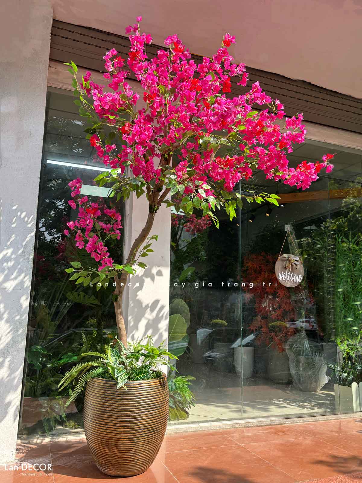 cay-hoa-giay