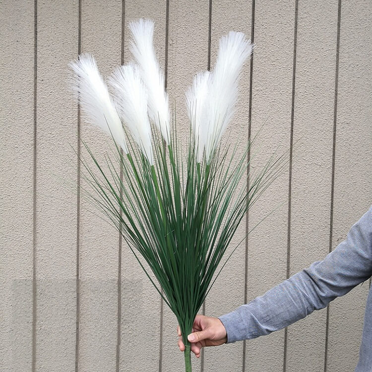 cay-lau-say-landecor