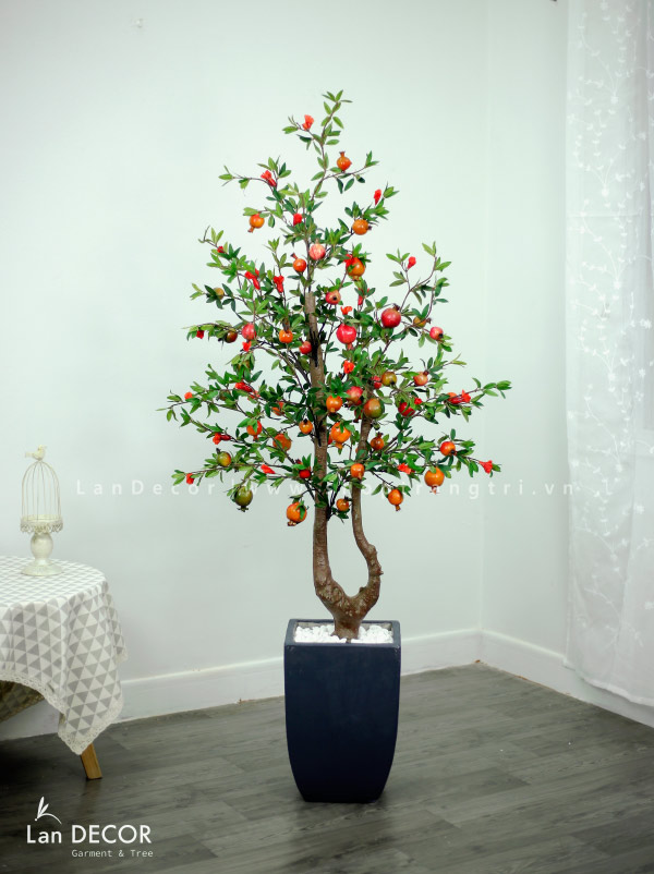 cau-luu-2-than-landecor