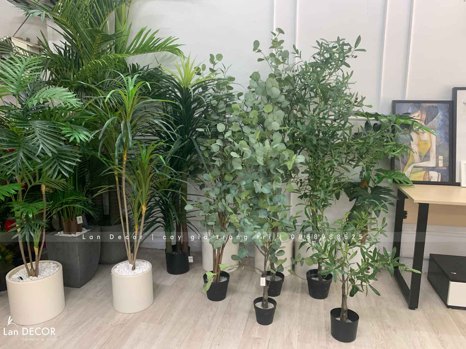 cay-gia-trang-tri 