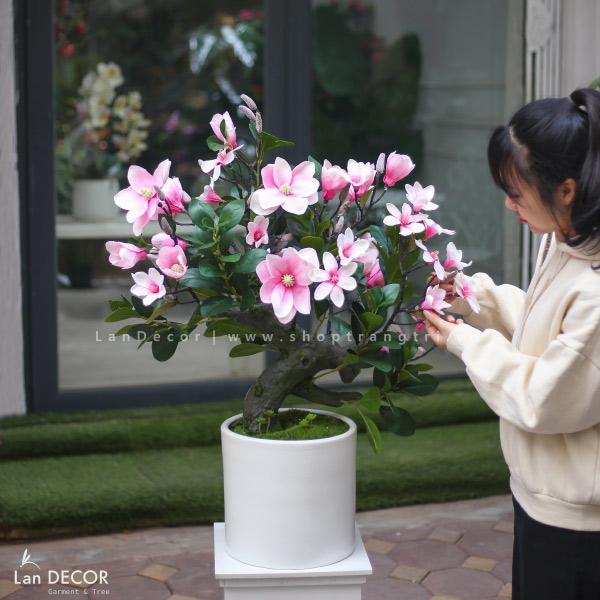 chau-cay-moc-lan-landecor