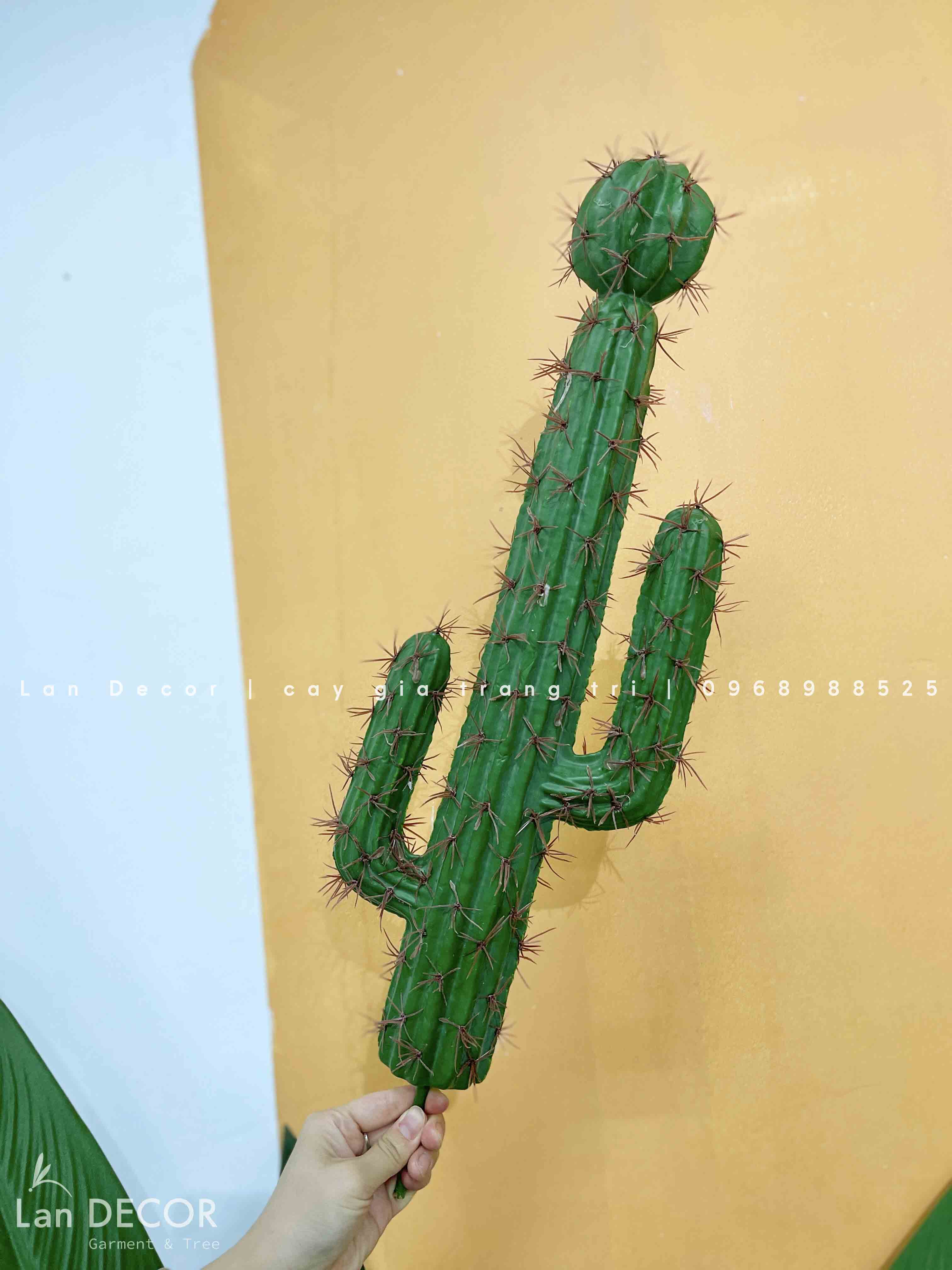 xương-rồng-giả