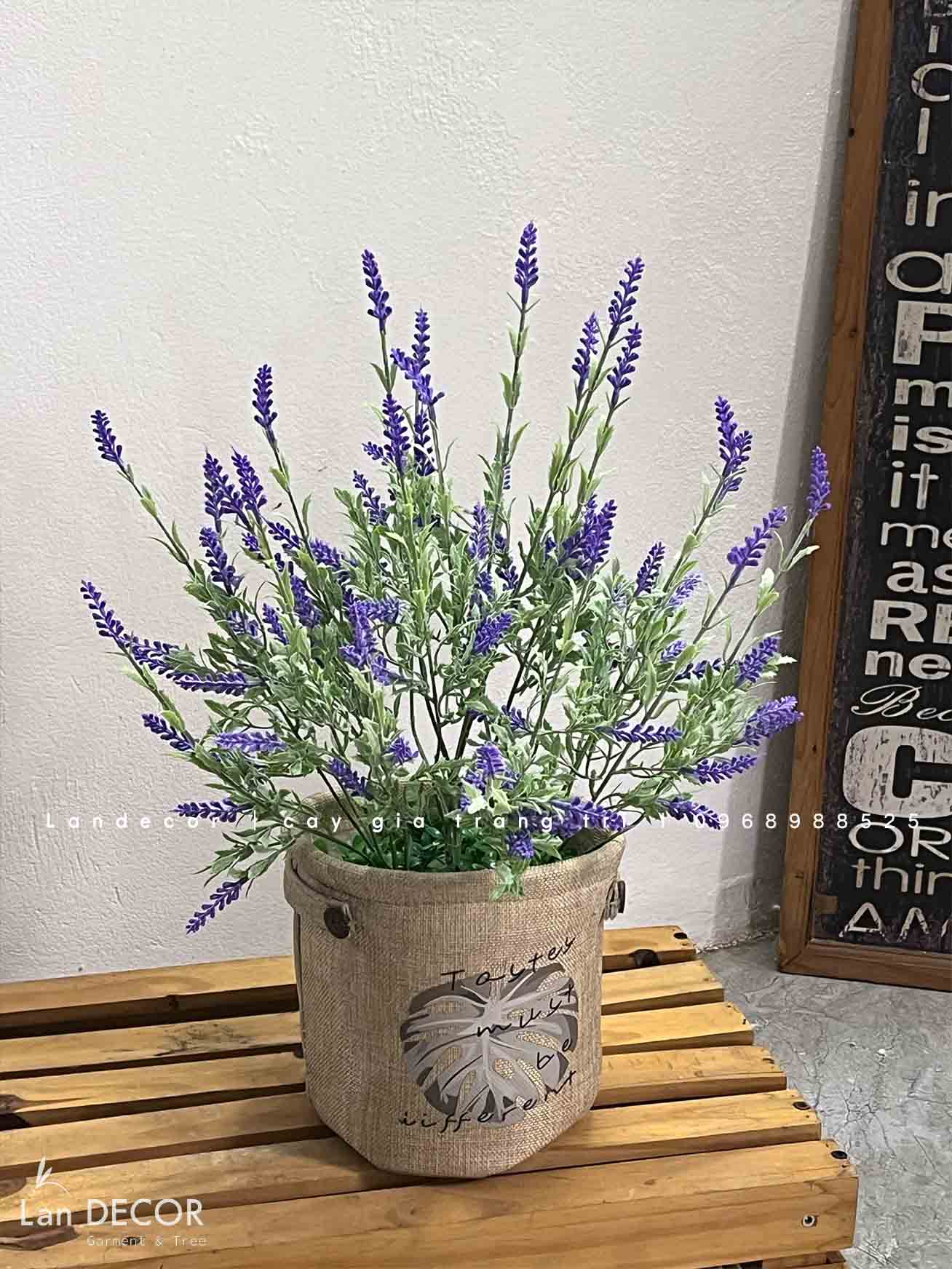 giỏ-hoa-decor