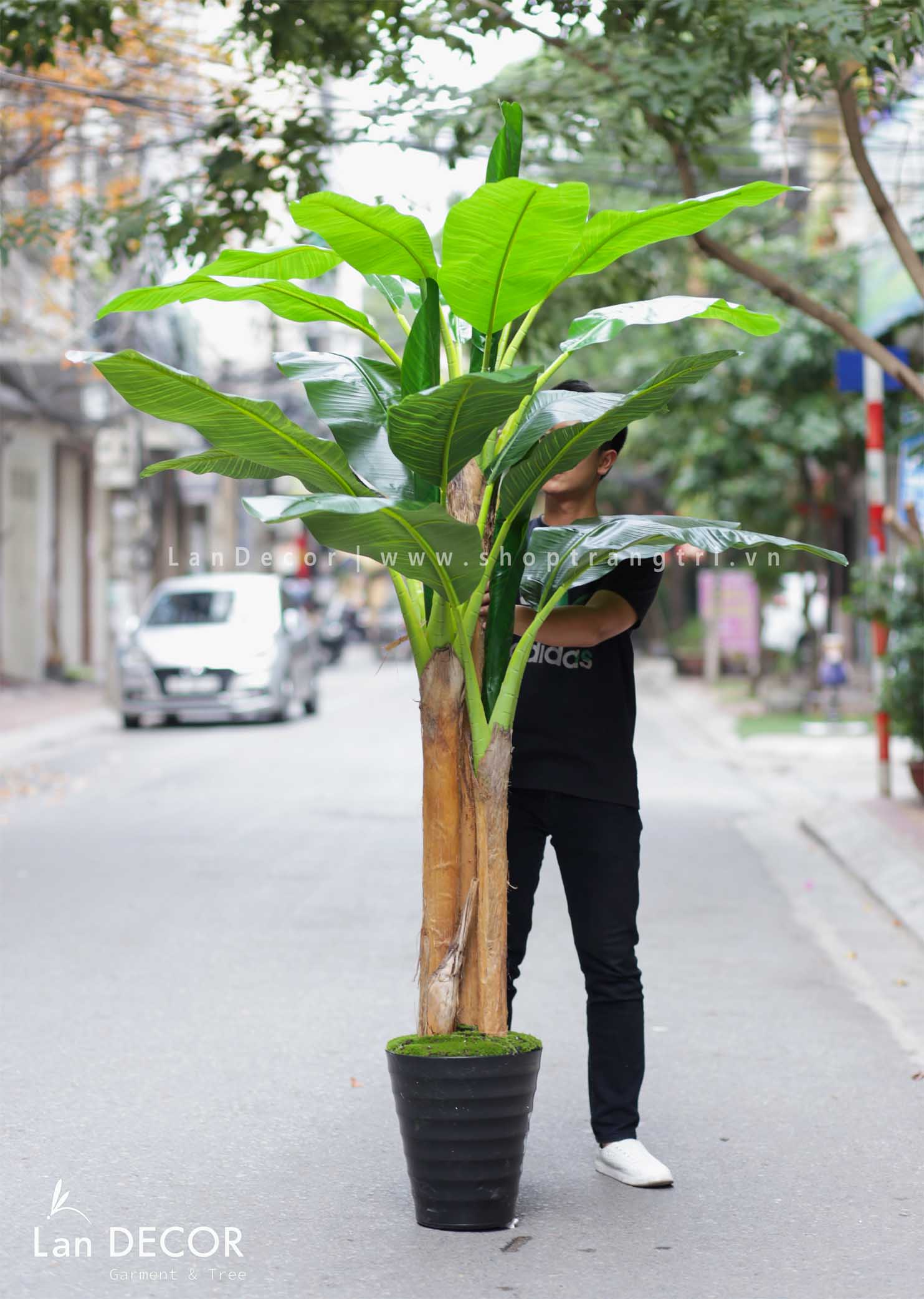 cây-giả-trang-trí