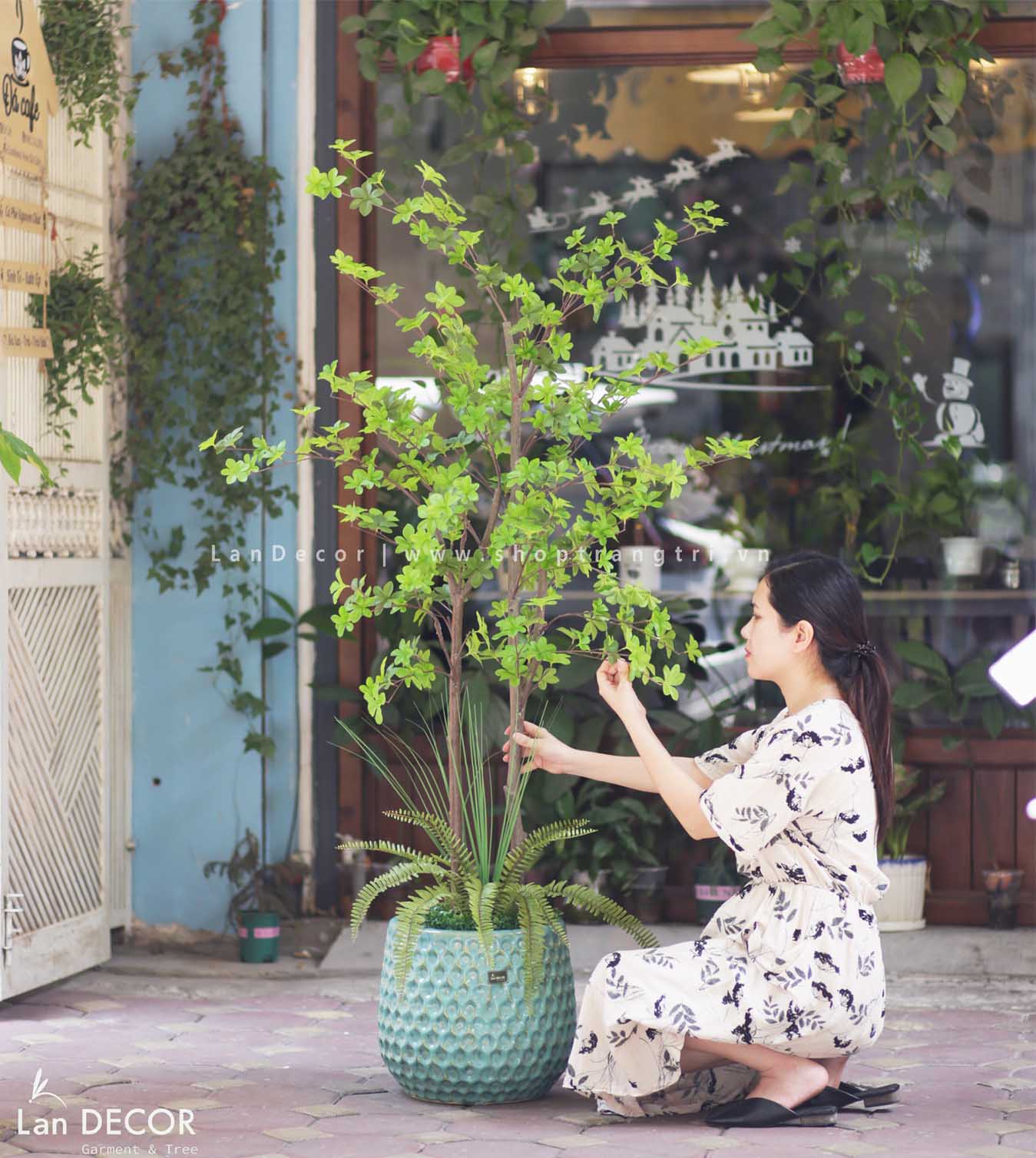 CHẬU CÂY LÁ MÔN XANH ĐỂ BÀN VĂN PHÒNG- CC900 Tổng Kho Sỉ Cây Giả Trang ...