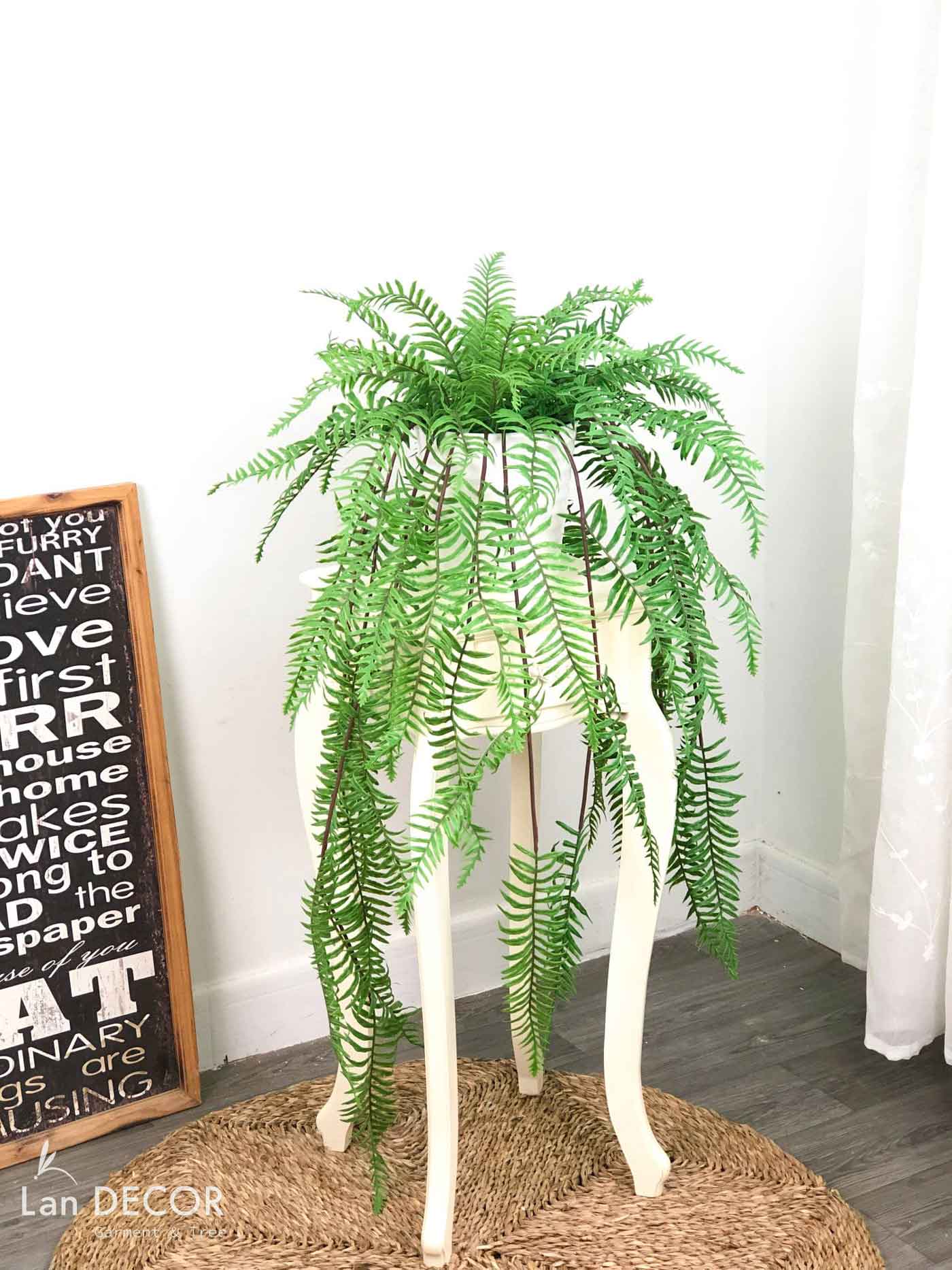 cay-de-ban