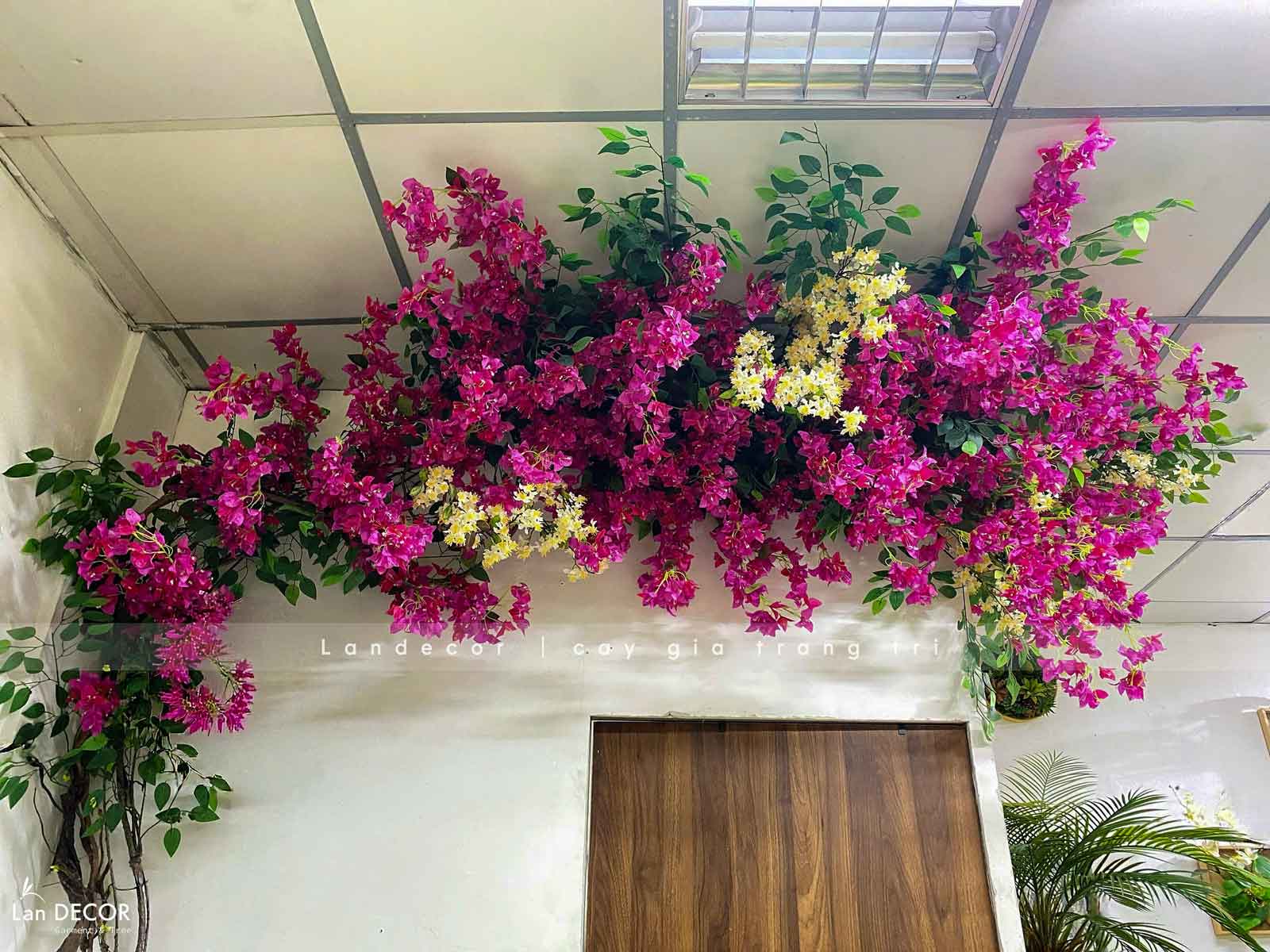 gian-hoa-leo-gia-decor 