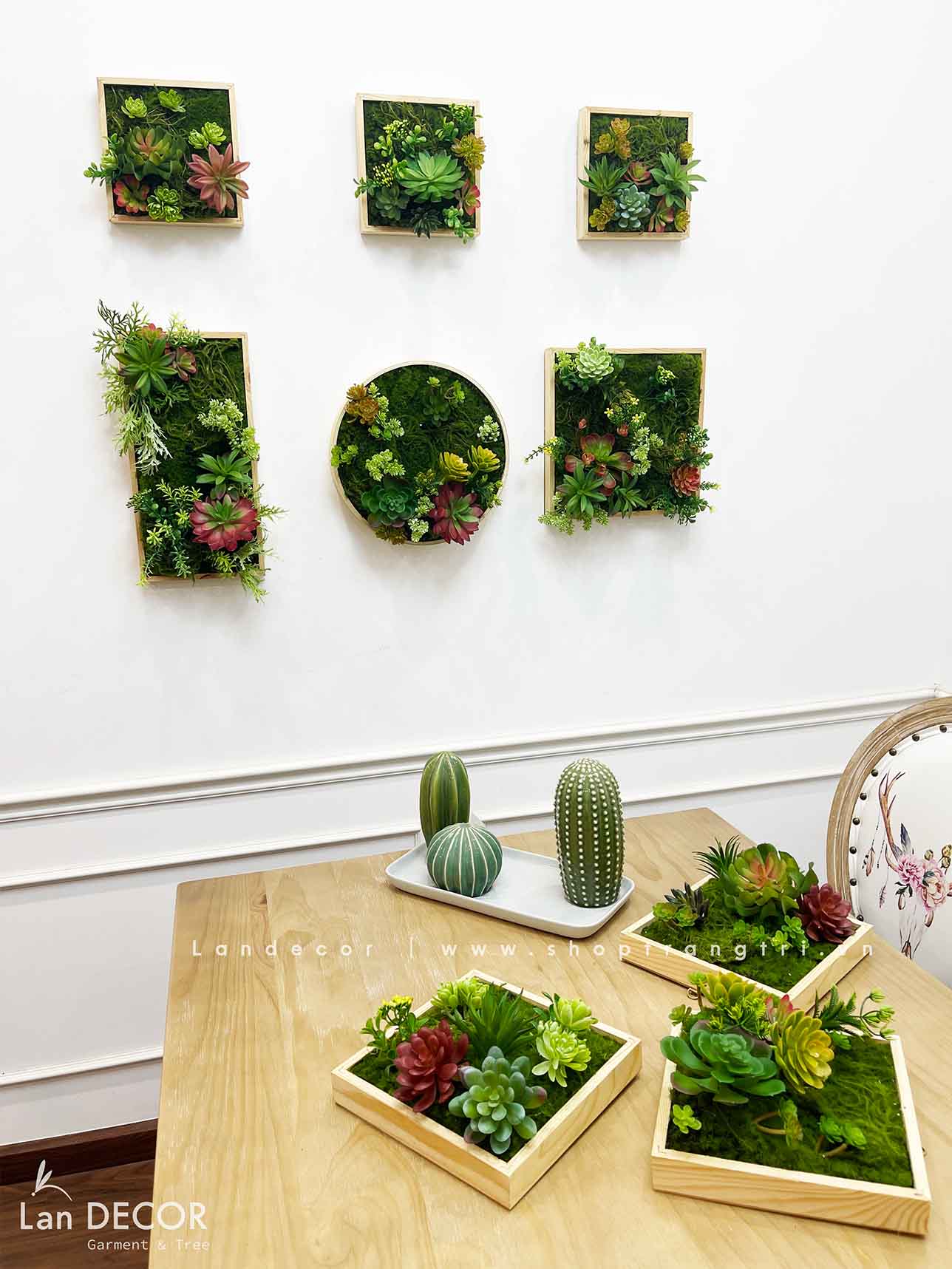 KHUNG TRANH RÊU SEN ĐÁ TRANG TRÍ LAN DECOR (20*20)- KTR06 Tổng Kho Sỉ ...