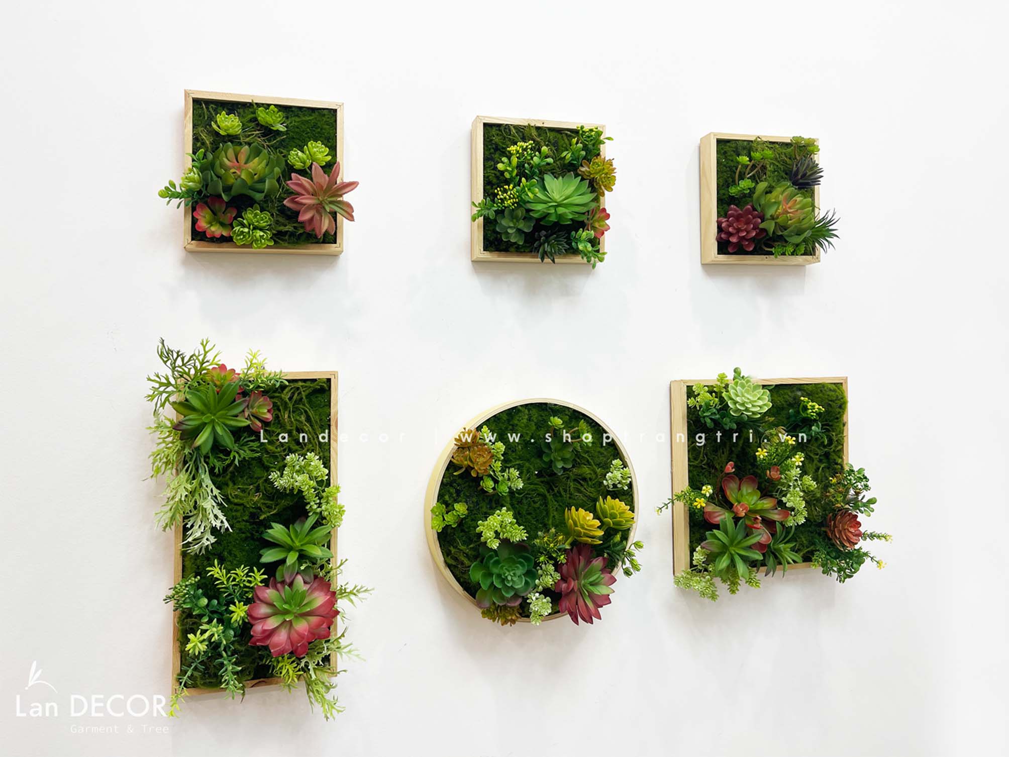 KHUNG TRANH RÊU SEN ĐÁ TRANG TRÍ LAN DECOR (20*20)- KTR06 Tổng Kho Sỉ ...