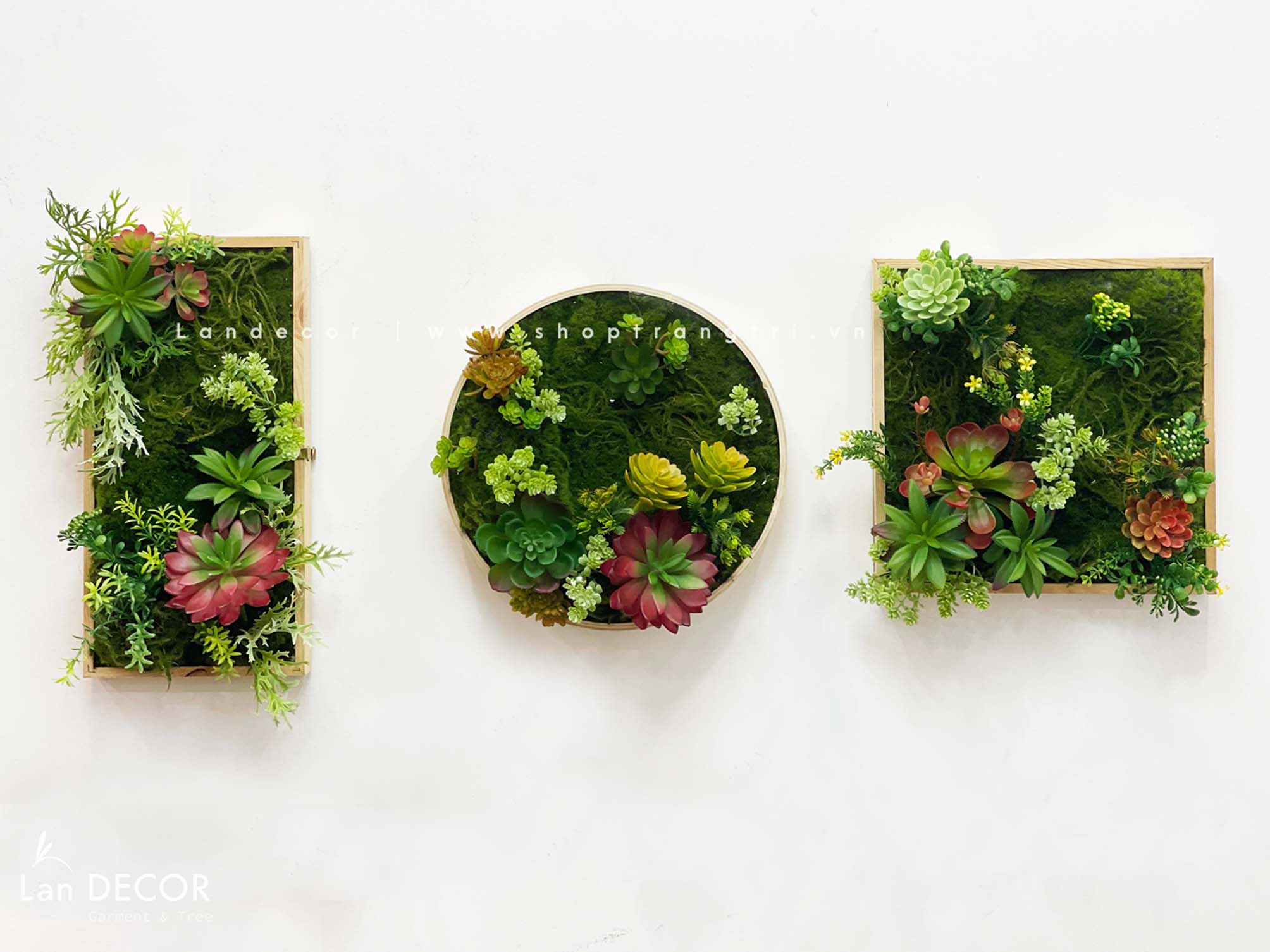 KHUNG TRANH RÊU SEN ĐÁ TRANG TRÍ LAN DECOR (20*20)- KTR06 Tổng Kho Sỉ ...