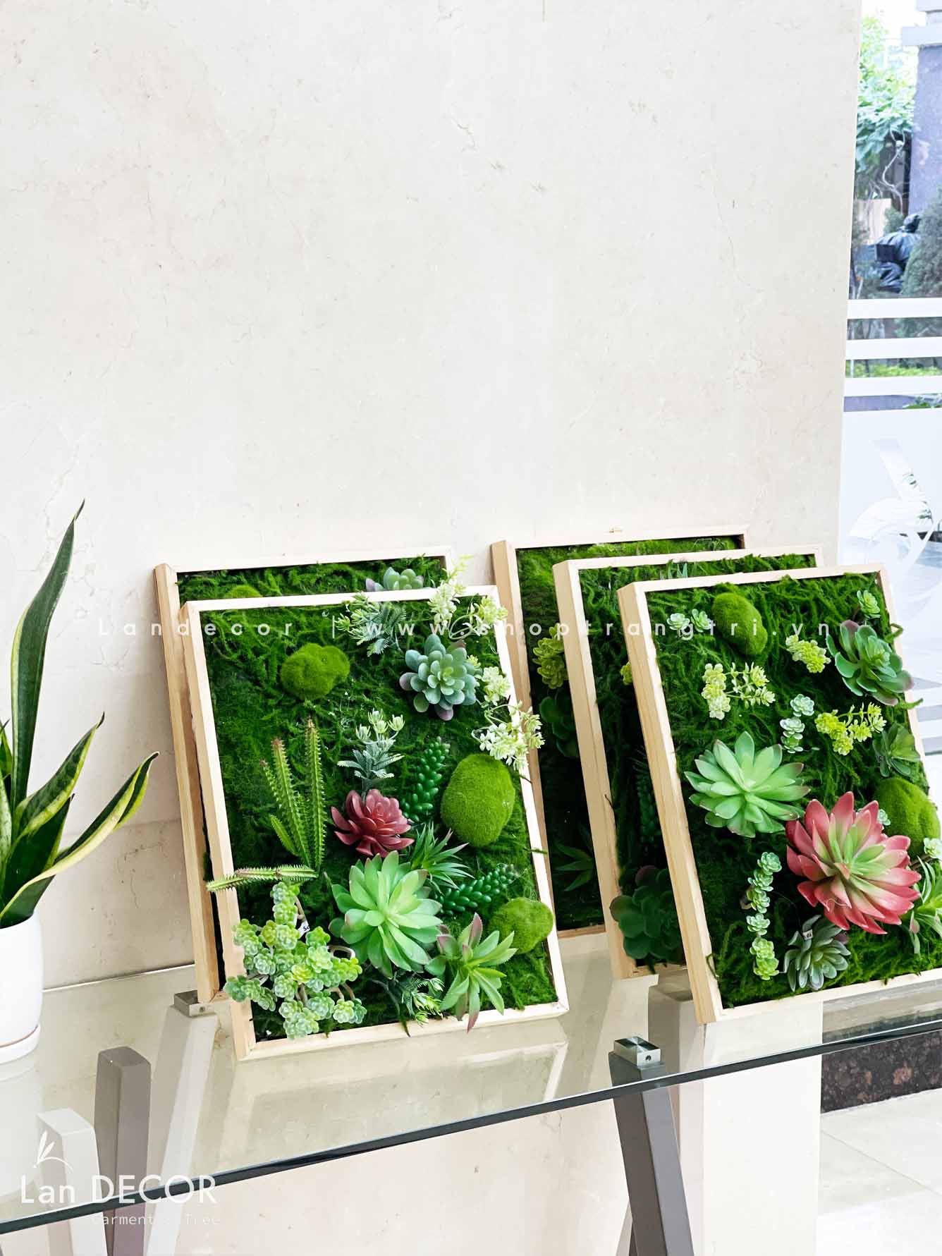 KHUNG TRANH RÊU SEN ĐÁ TRANG TRÍ TIỂU CẢNH - KTR010(30X40) Cây Giả ...